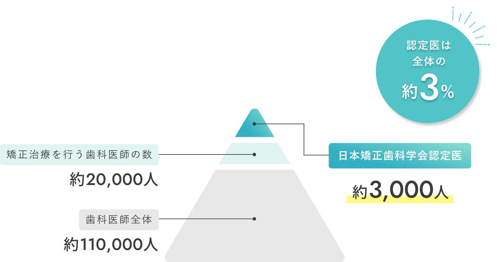 認定医は全体の約3%　矯正治療を行う歯科医師の数：約20,000人　歯科医師全体：約110,000人　日本矯正歯科学会認定医：約3,000人